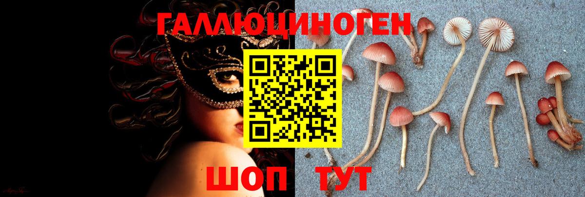 Псилоцибиновые грибы Psilocybine cubensis Железноводск