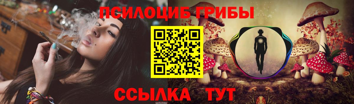Галлюциногенные грибы Psilocybine cubensis  Вход с VPN  Железноводск 